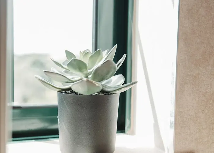 Casa Velha - Adults Friendly *