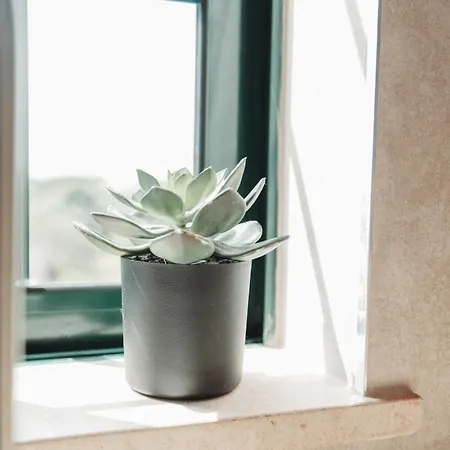 Casa Velha - Adults Friendly *